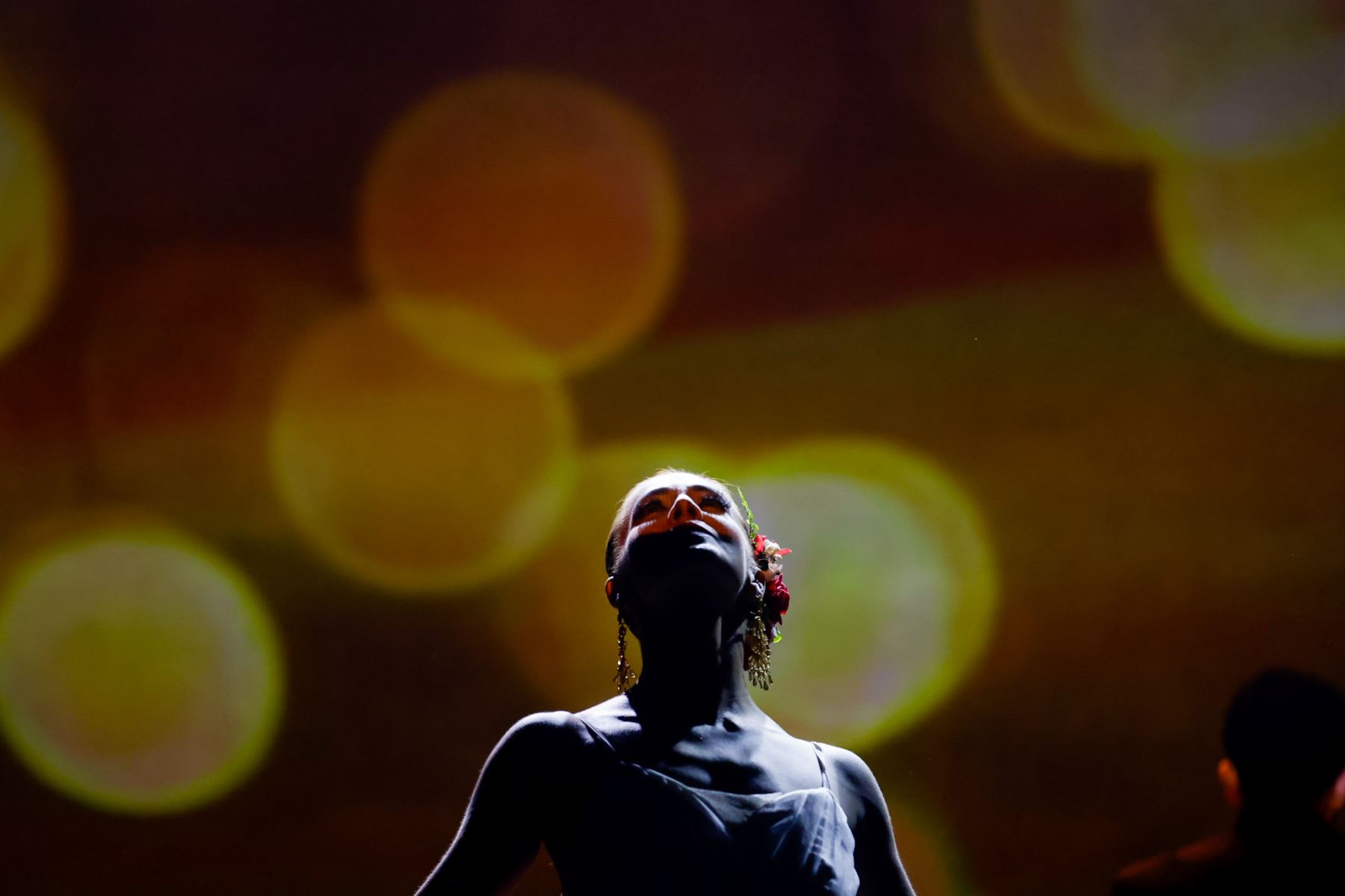 Los artistas del Ballet Folclórico Nacional desplegaron un alto nivel técnico y expresivo en escena, combinando precisión coreográfica y fuerza interpretativa, en una puesta que integró tradición y lenguaje contemporáneo. Foto: ANDINA/Luis Iparraguirre.