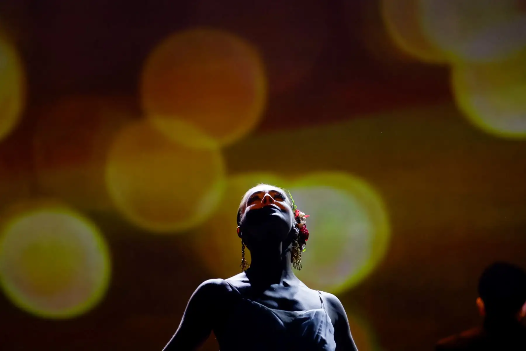 Los artistas del Ballet Folclórico Nacional desplegaron un alto nivel técnico y expresivo en escena, combinando precisión coreográfica y fuerza interpretativa, en una puesta que integró tradición y lenguaje contemporáneo. Foto: ANDINA/Luis Iparraguirre.