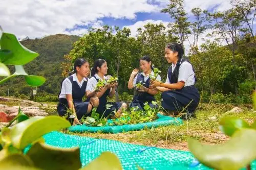 El programa escolar incorpora de manera central la metodología de Aprendizaje Basado en Proyectos (PBL), la cual se suma al ya implementado Design Thinking.