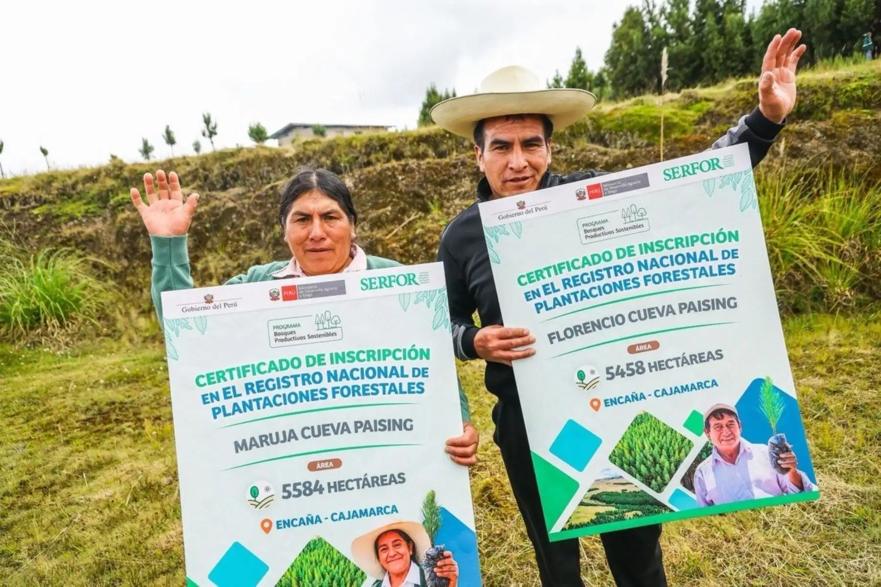 Programa Bosques Productivos dinamizará inversión en 7 regiones con más de 4,000 empleos