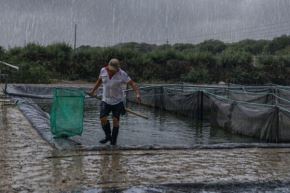 Los acuicultores afectados por las lluvias e inundaciones en los distritos declarados en emergencia, pueden acceder a créditos de 0% y 1% de interés anual. ANDINA / Difusión.