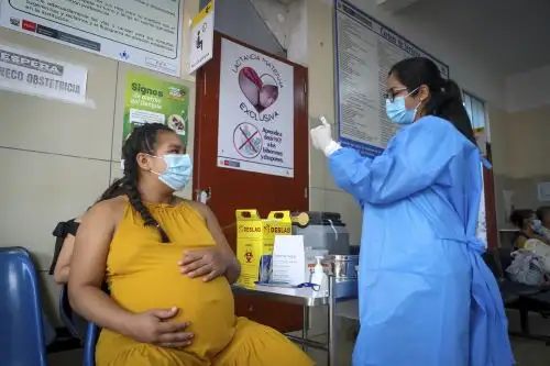 Minsa refuerza vacunación en gestantes para proteger a madres y recién nacidos de enfermedades graves