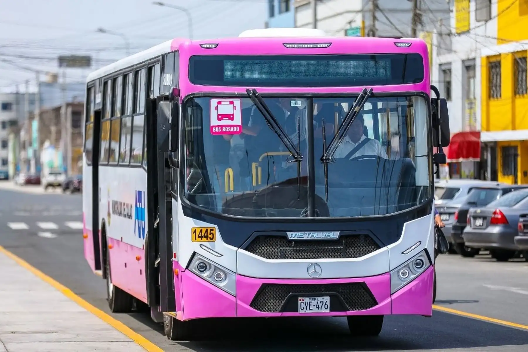 Callao presenta buses del Corredor Rosado: conoce cuál es su ruta y tarifa promocional