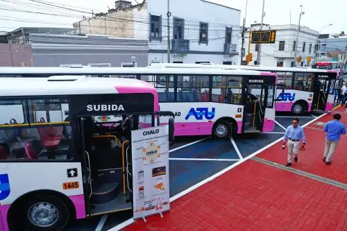 Callao presenta buses del Corredor Rosado: conoce cuál es su ruta y tarifa promocional