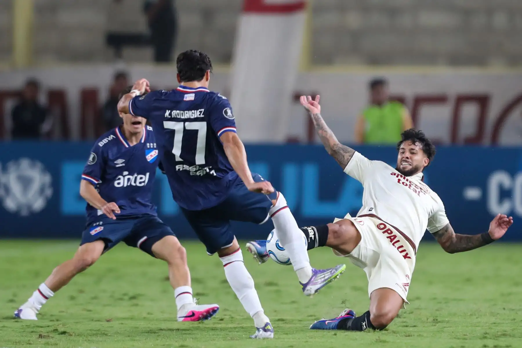 Universitario de enfrenta a Nacional de Paraguay en la fase de grupos de la copa Libertadores.  Foto: ANDINA/Ricardo Cuba