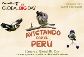 El Global Big Day 2026 se realiza el sábado 9 de mayo 