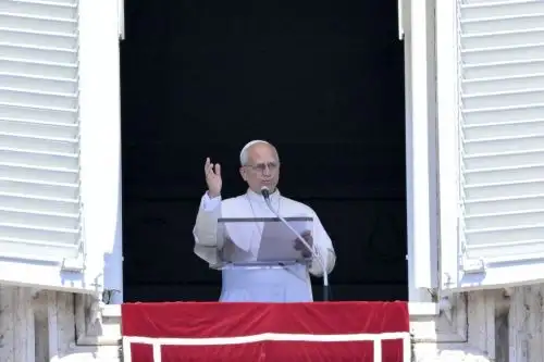 El Papa invita a rezar el Rosario por la paz