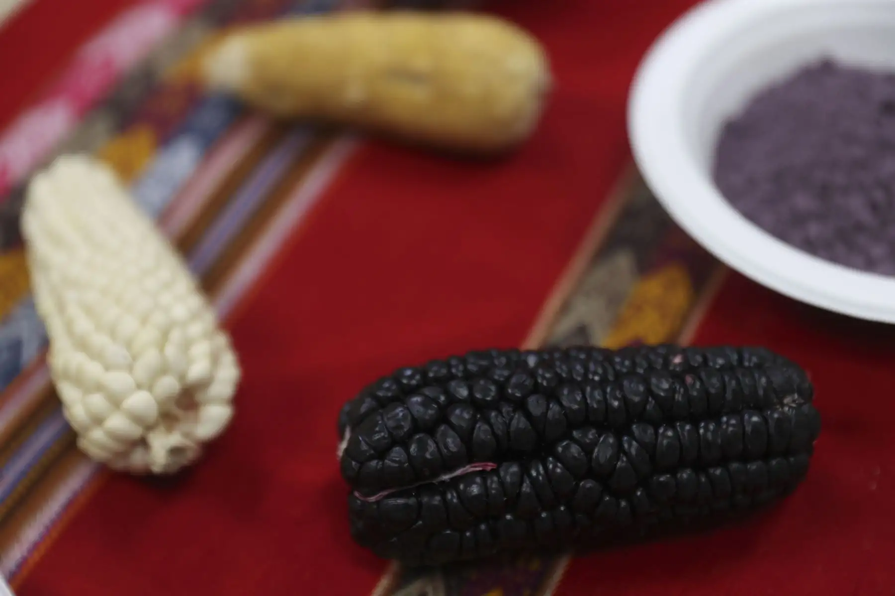 Esta riqueza es resultado del conocimiento ancestral de las comunidades y sus prácticas agrícolas sostenibles. Foto: ANDINA/Jhonel Rodríguez Robles