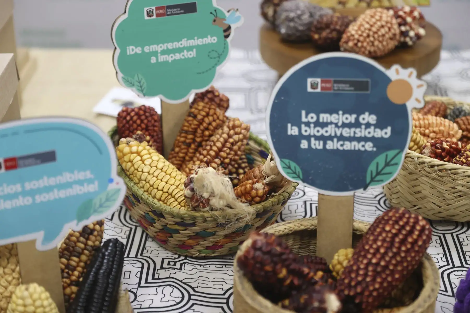 Estos productos resaltan no solo por su valor nutricional, sino también por su importancia cultural y productiva. Foto: ANDINA/Jhonel Rodríguez Robles