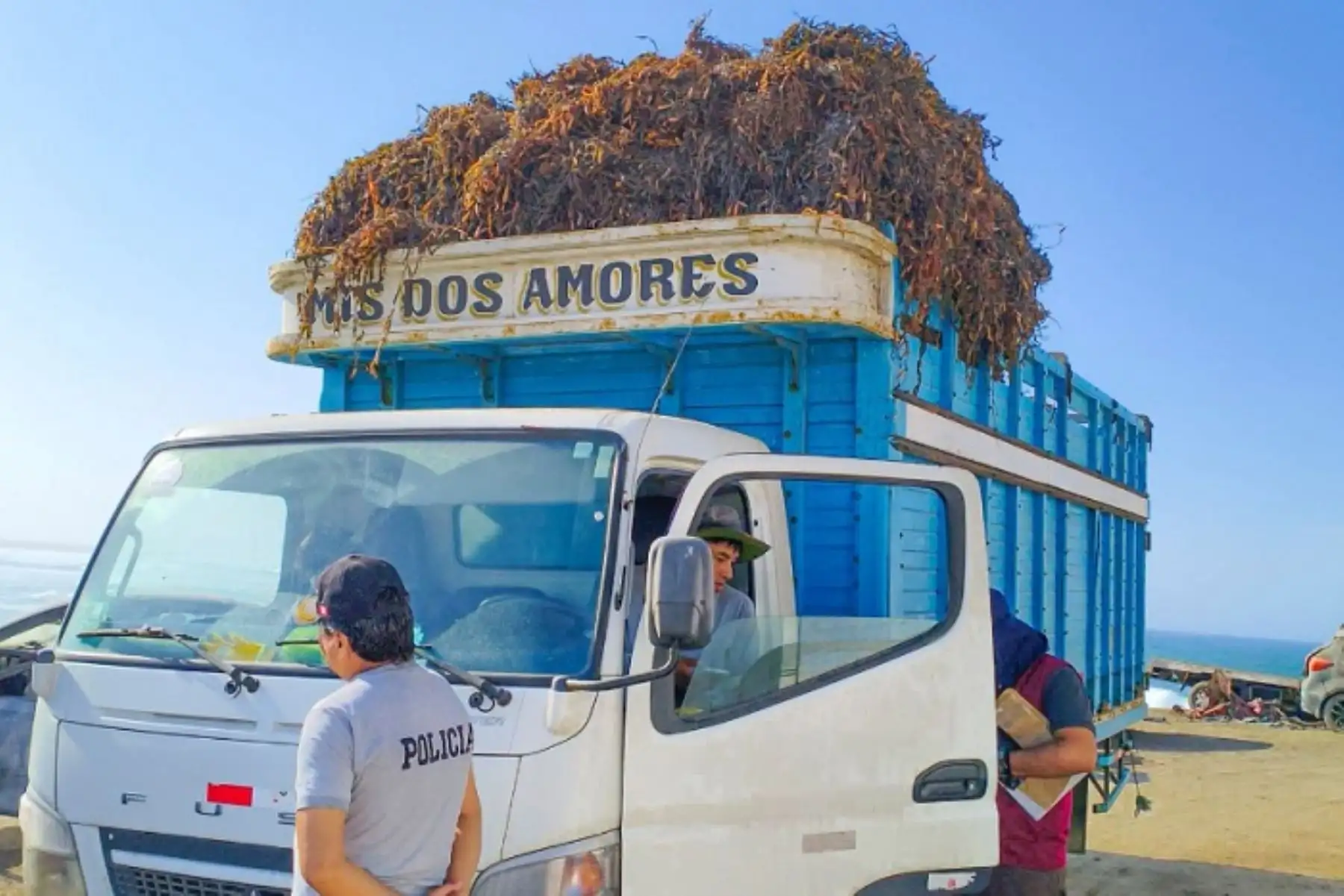 Arequipa: inmovilizan más de 8 tn de macroalgas por incumplir normativa de transporte