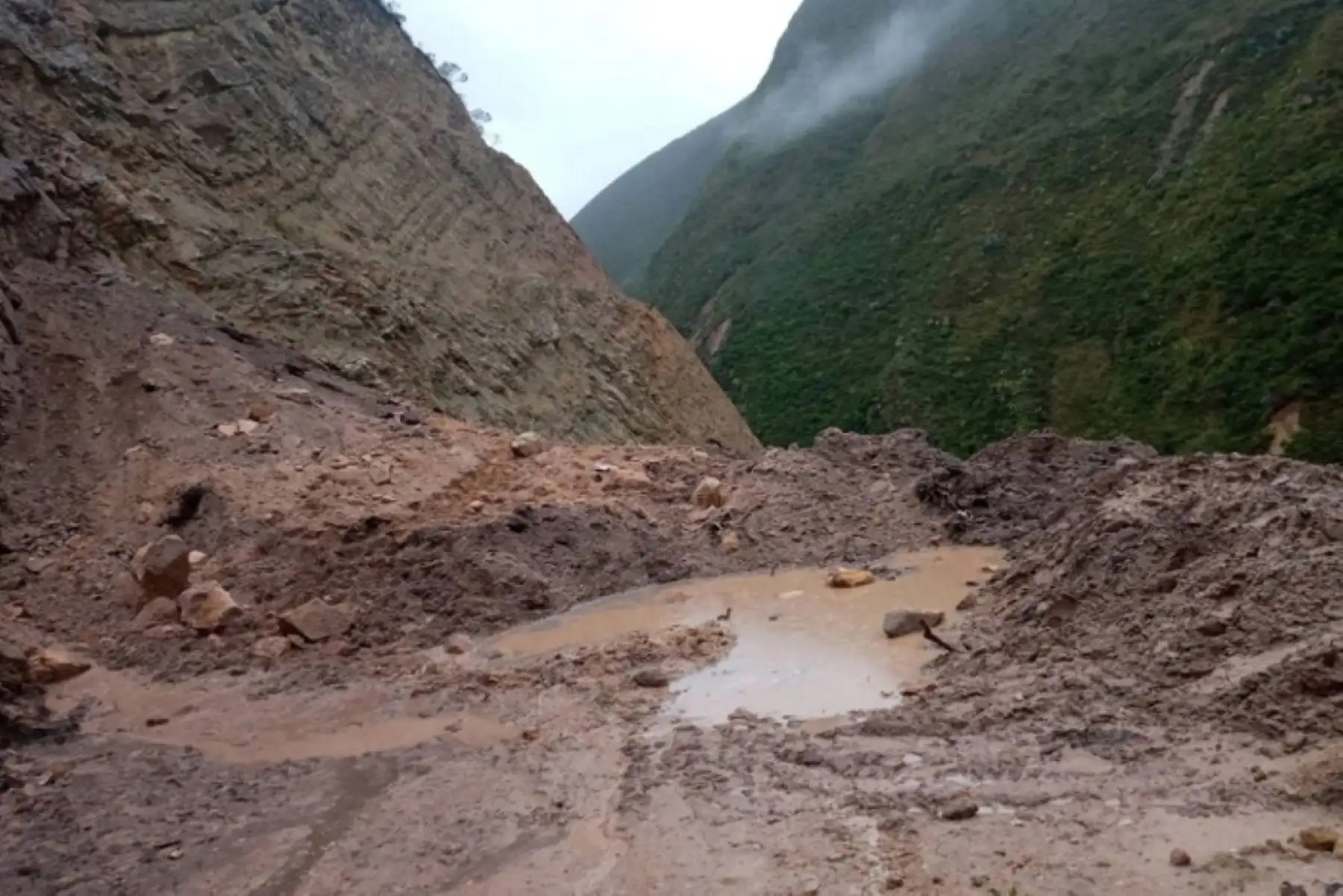 Amazonas: deslizamiento bloquea vía en distrito de Omia y deja a familia damnificada