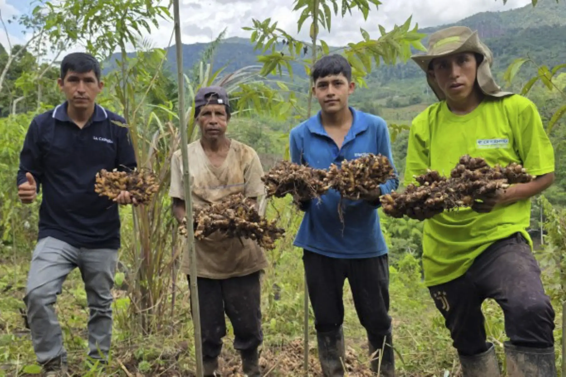 Ministerio del Ambiente lanza quinta edición de Impacta Verde con S/ 10 millones en ventas