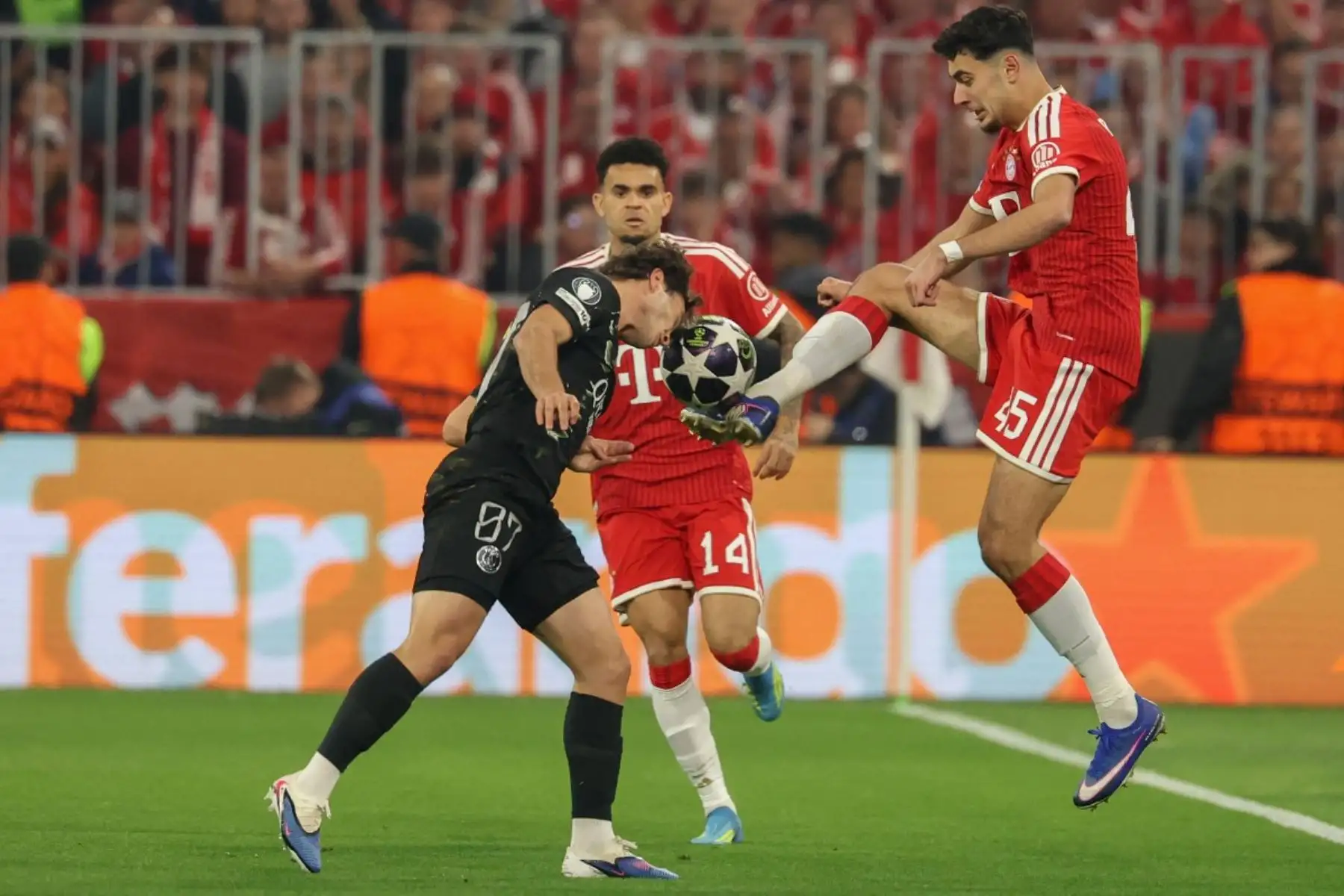 El centrocampista portugués del Paris Saint-Germain, Joao Neves  y el centrocampista alemán del Bayern de Múnich, Aleksandar Pavlovic,  disputan el balón durante el partido de vuelta de las semifinales de la UEFA Champions League entre el FC Bayern de Múnich y el Paris Saint-Germain. AFP