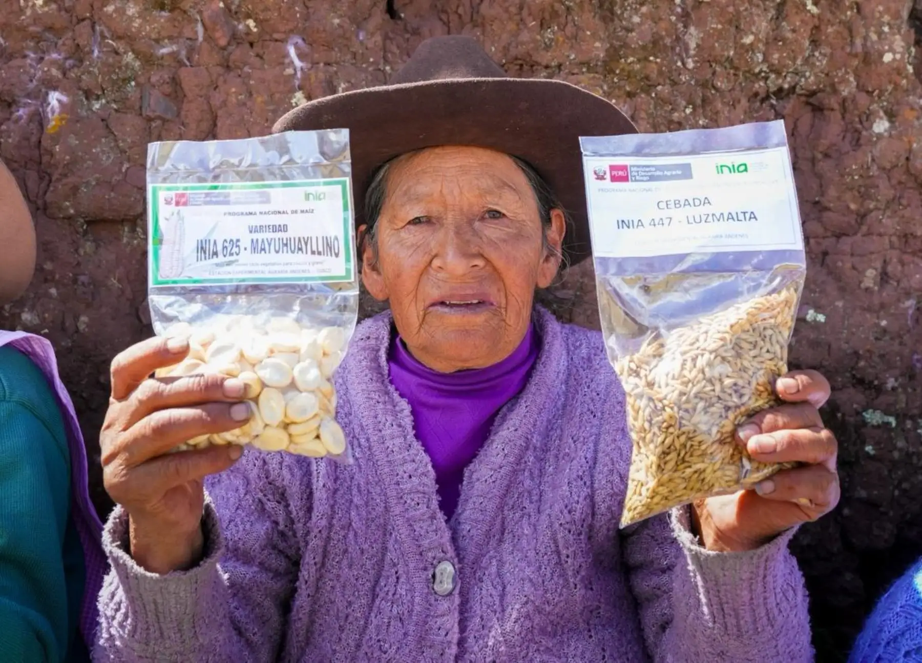 Lanzan supervariedades de maíz y cebada: productividad agrícola crecerá hasta en 60%