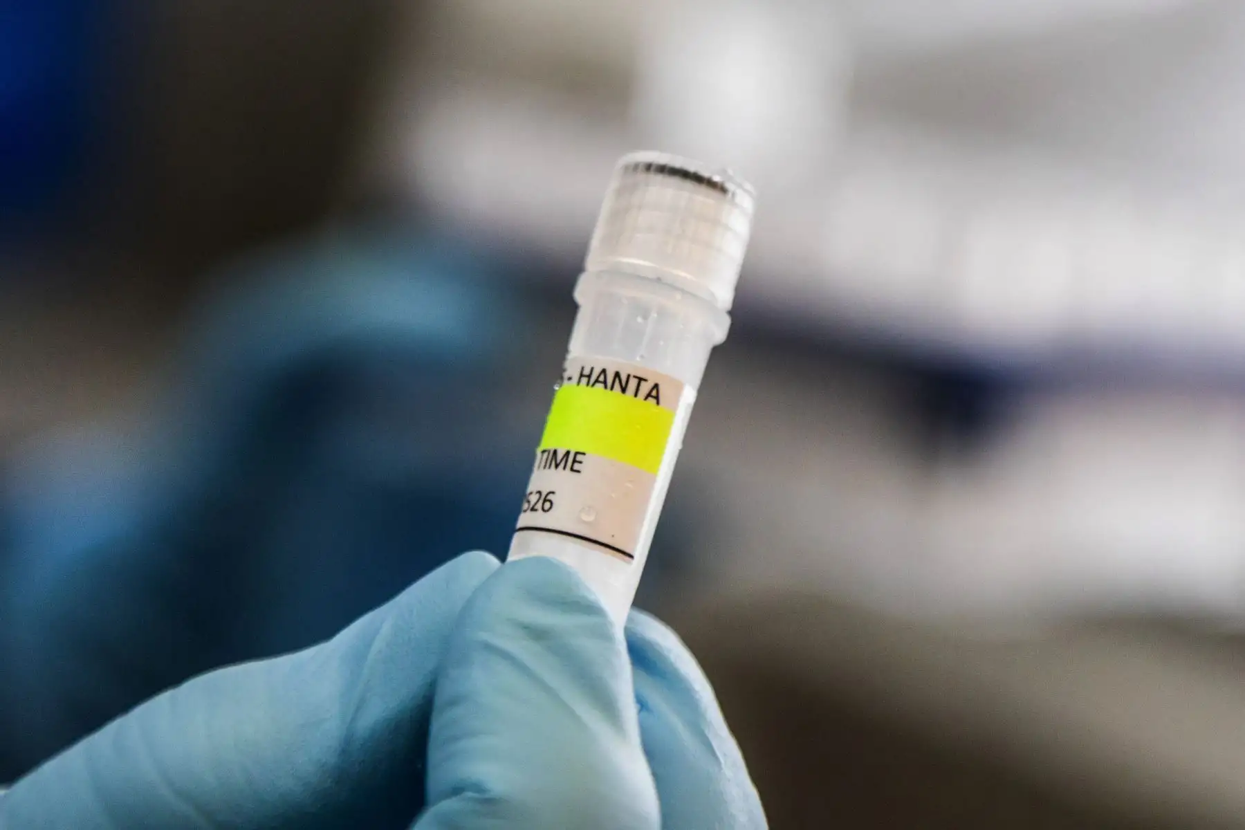Hantavirus: seis casos confirmados hasta hoy tras brote en crucero, según la OMS