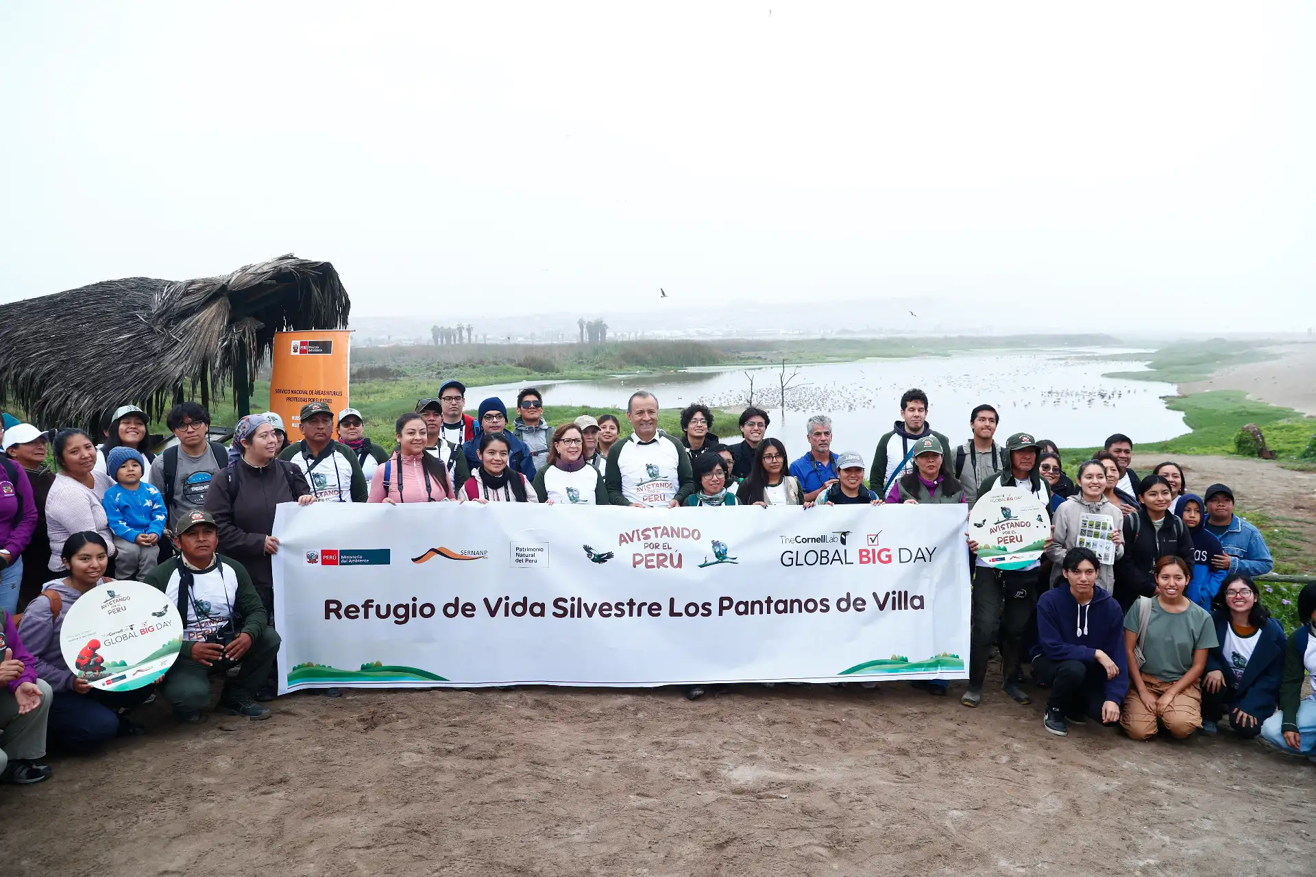 Desde la laguna Marvilla ubicada en el Refugio de Vida Silvestre Pantanos de Villa en Chorrillos, el Servicio Nacional de Áreas Naturales Protegidas por el Estado SERNANP dio inicio al Global Big Day 2026, la más grande jornada mundial de avistamiento de aves, que en el Perú tiene como escenario a 52 áreas naturales protegidas.
Foto: ANDINA/Daniel Bracamonte