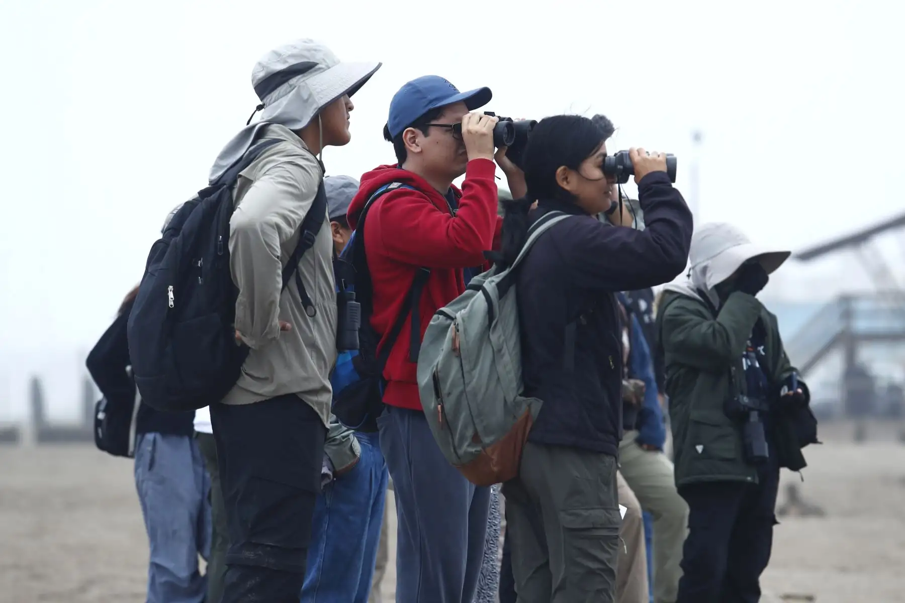 Desde la laguna Marvilla ubicada en el Refugio de Vida Silvestre Pantanos de Villa en Chorrillos, el Servicio Nacional de Áreas Naturales Protegidas por el Estado SERNANP dio inicio al Global Big Day 2026, la más grande jornada mundial de avistamiento de aves, que en el Perú tiene como escenario a 52 áreas naturales protegidas.
Foto: ANDINA/Daniel Bracamonte