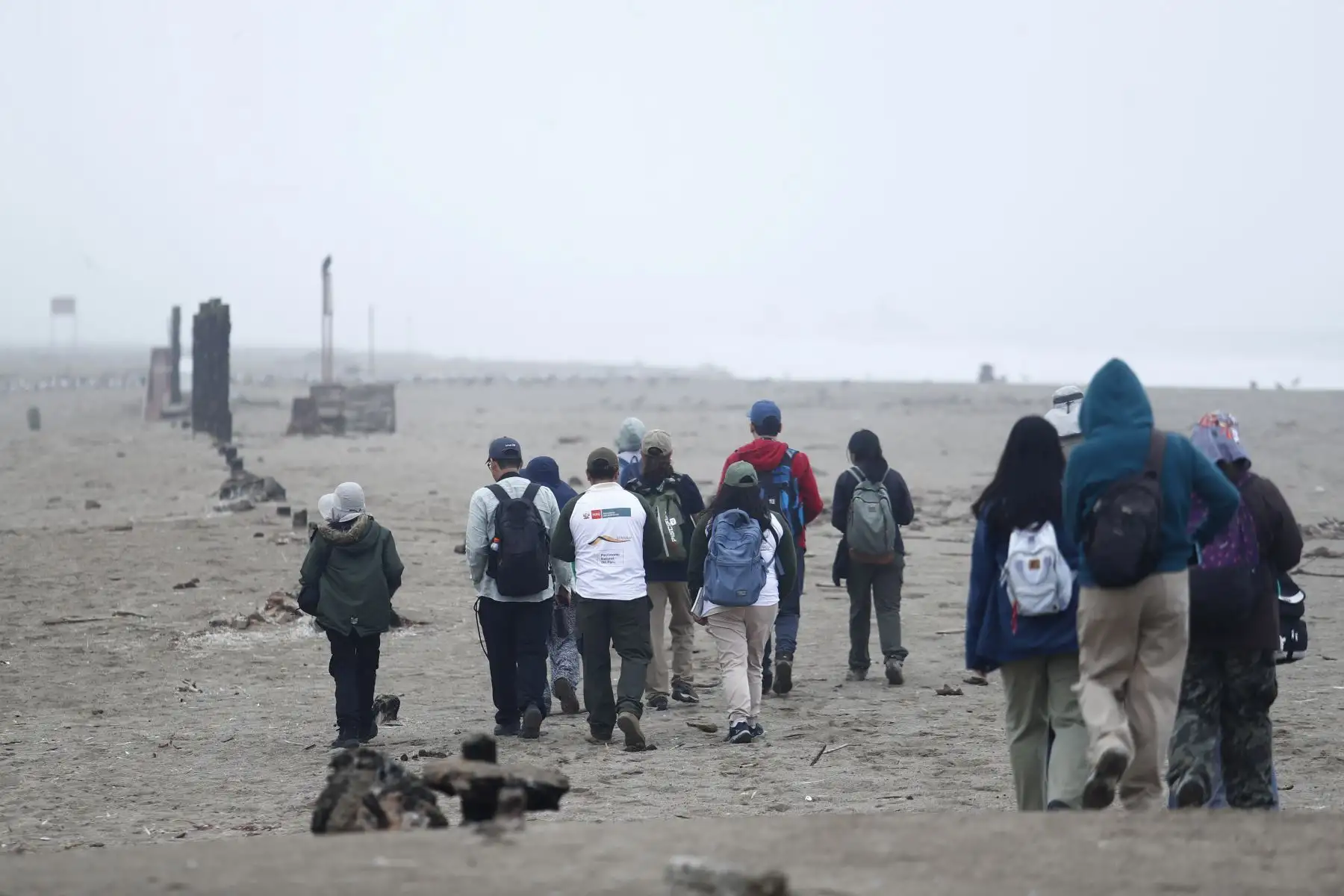 Desde la laguna Marvilla ubicada en el Refugio de Vida Silvestre Pantanos de Villa en Chorrillos, el Servicio Nacional de Áreas Naturales Protegidas por el Estado SERNANP dio inicio al Global Big Day 2026, la más grande jornada mundial de avistamiento de aves, que en el Perú tiene como escenario a 52 áreas naturales protegidas.
Foto: ANDINA/Daniel Bracamonte