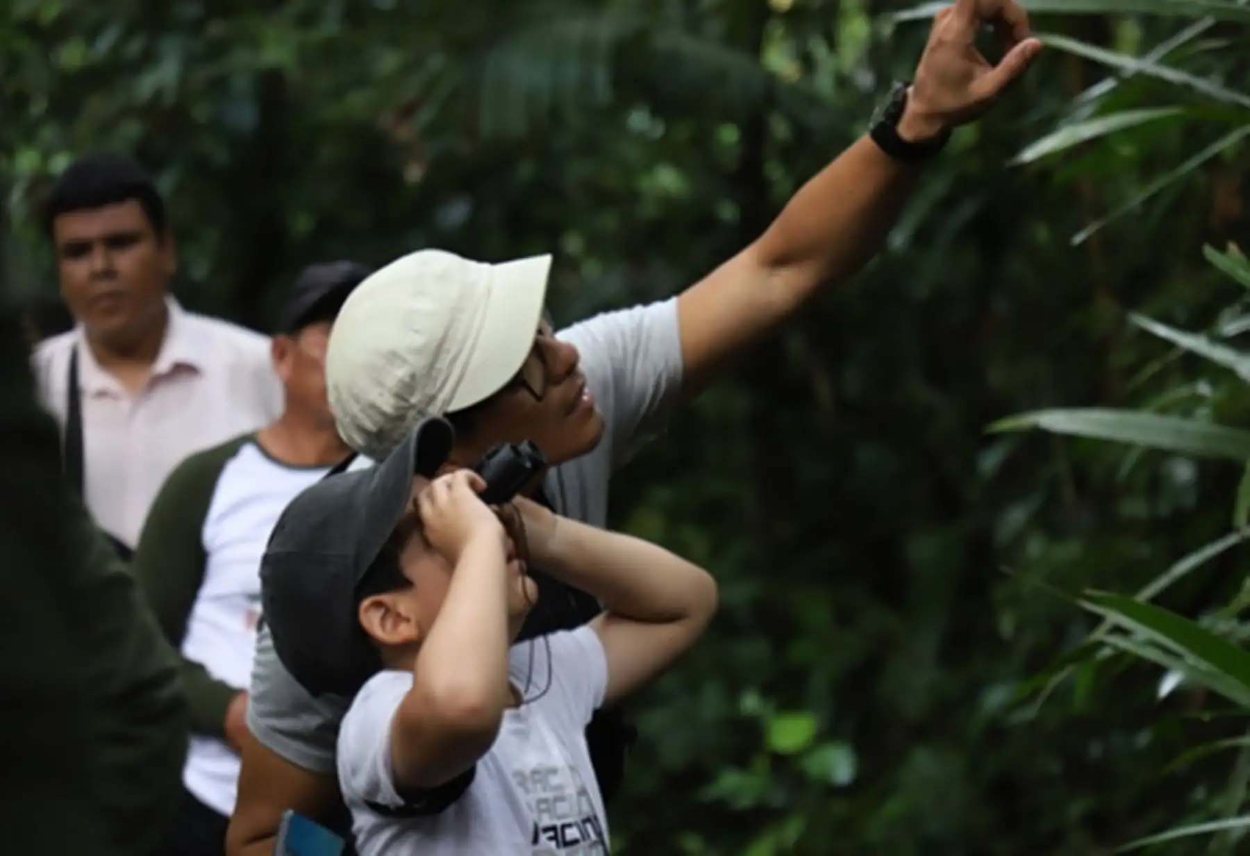 Global Big Day 2026: Perú compite hoy en la mayor maratón mundial de observación de aves