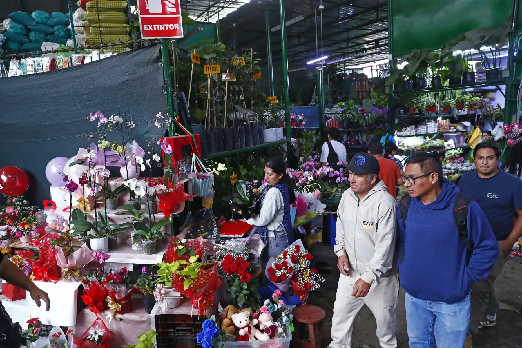 En el marco de las celebraciones por el Día de la Madre el domingo 10 de mayo de 2026, decenas de peruanos acuden al popular Mercado de Flores de Acho, en el distrito del Rímac, a conseguir algún presente para sus madres y abuelas en su día. Se aprecian diversos tipos de arreglos florales en el emporio comercial.
Foto: ANDINA/Daniel Bracamonte