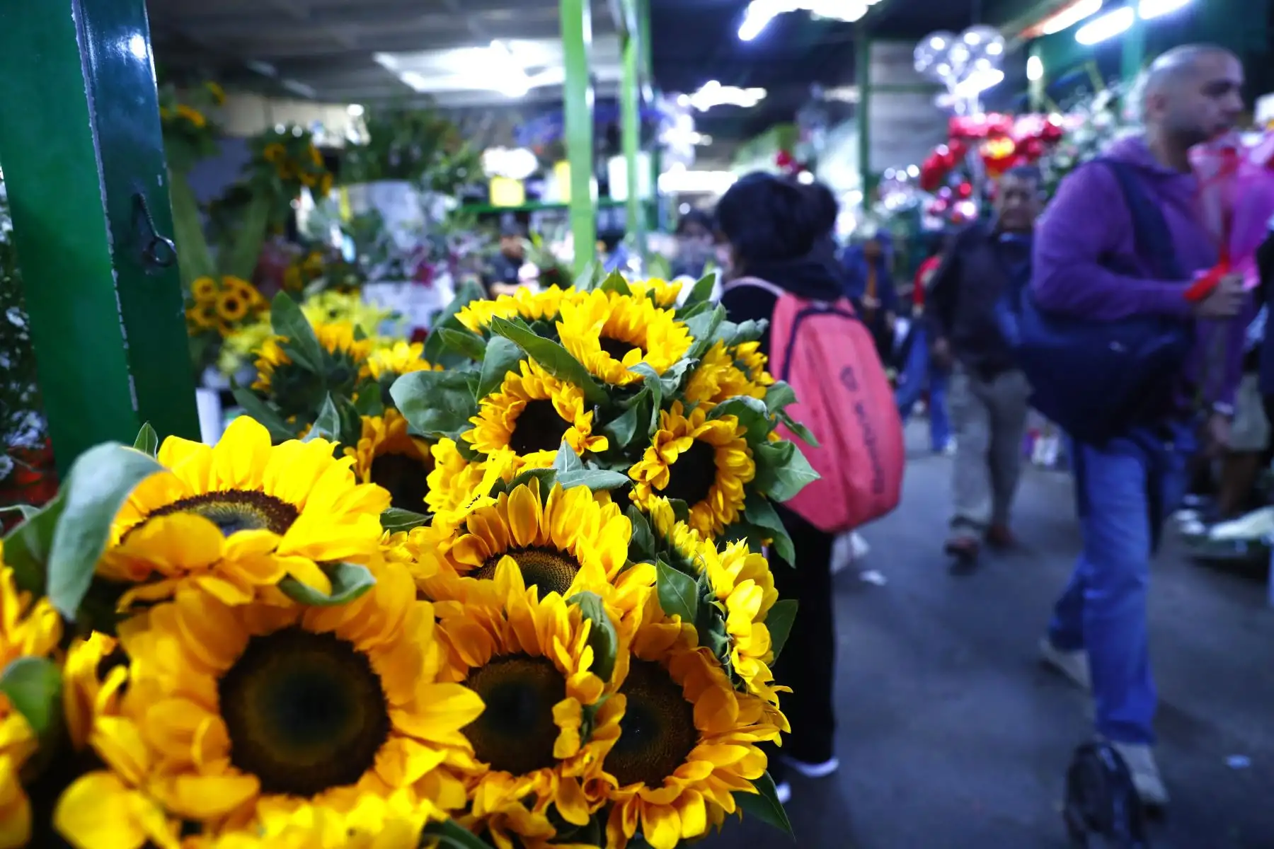 En el marco de las celebraciones por el Día de la Madre el domingo 10 de mayo de 2026, decenas de peruanos acuden al popular Mercado de Flores de Acho, en el distrito del Rímac, a conseguir algún presente para sus madres y abuelas en su día. Se aprecian diversos tipos de arreglos florales en el emporio comercial.
Foto: ANDINA/Daniel Bracamonte
