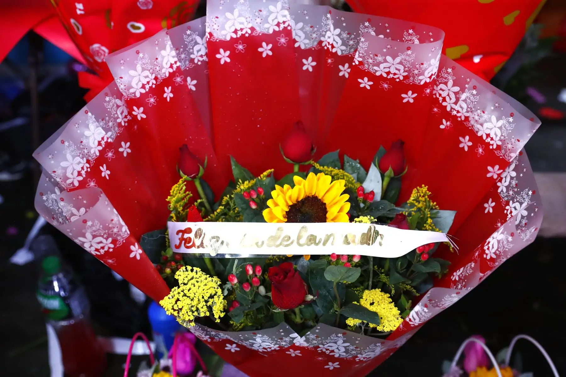 En el marco de las celebraciones por el Día de la Madre el domingo 10 de mayo de 2026, decenas de peruanos acuden al popular Mercado de Flores de Acho, en el distrito del Rímac, a conseguir algún presente para sus madres y abuelas en su día. Se aprecian diversos tipos de arreglos florales en el emporio comercial.
Foto: ANDINA/Daniel Bracamonte