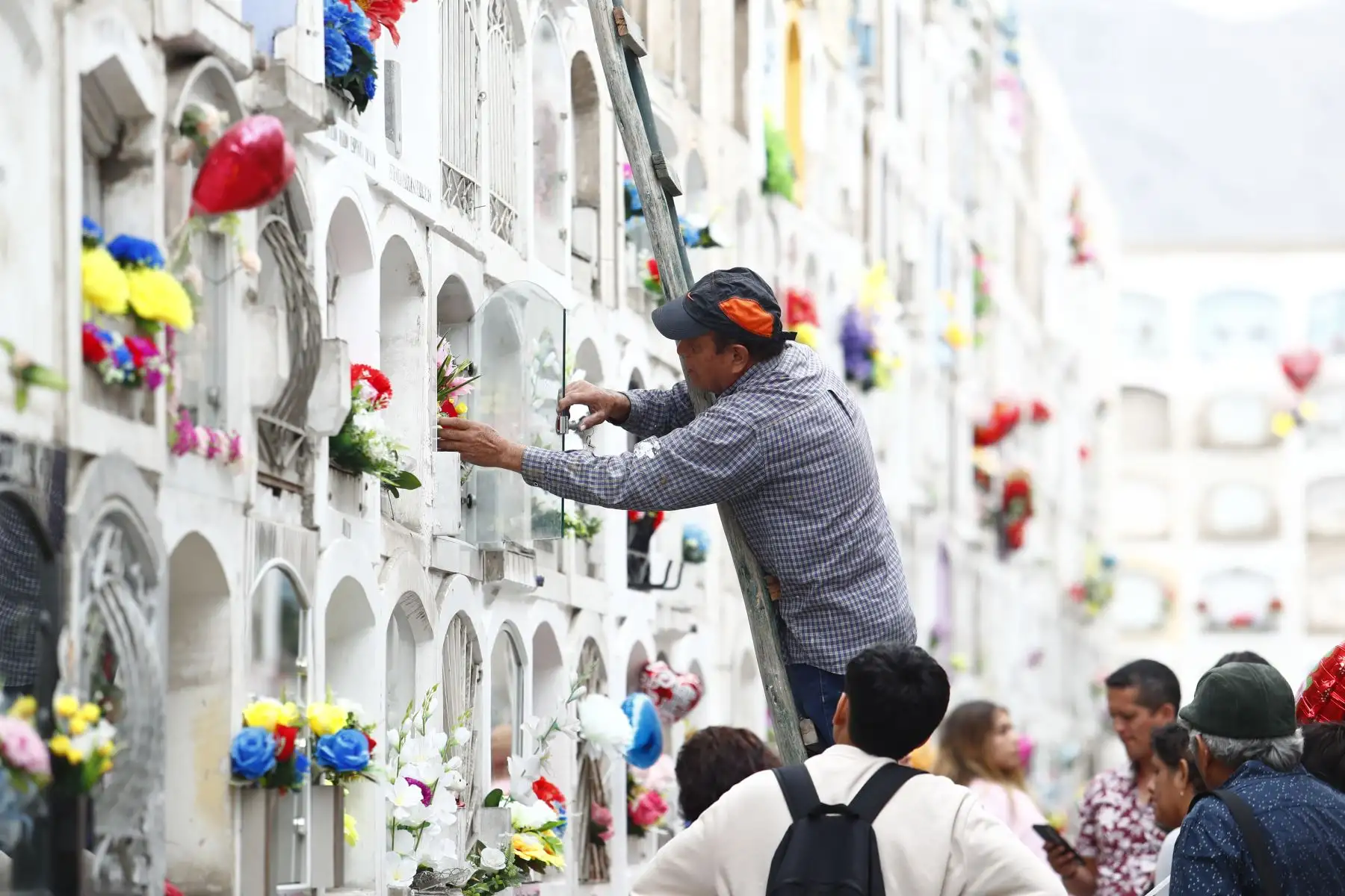 Desde tempranas horas del día, decenas de personas acudieron con flores y adornos al histórico cementerio El Ángel, ubicado en el Cercado de Lima, para visitar a sus difuntas madres y abuelas el domingo 10 de mayo de 2026, como parte de los rituales y celebraciones por el Día de la Madre. Foto: ANDINA/Daniel Bracamonte