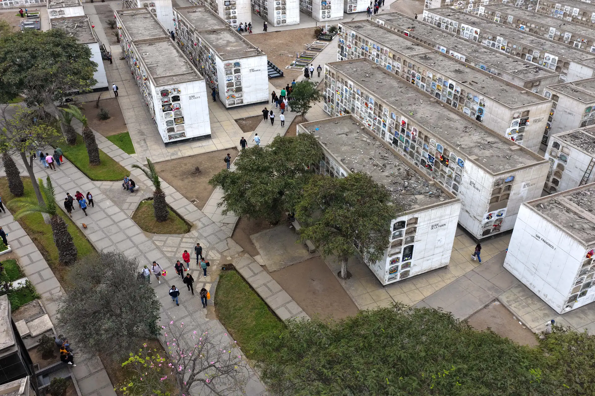 Desde tempranas horas del día, decenas de personas acudieron con flores y adornos al histórico cementerio El Ángel, ubicado en el Cercado de Lima, para visitar a sus difuntas madres y abuelas el domingo 10 de mayo de 2026, como parte de los rituales y celebraciones por el Día de la Madre. Foto: ANDINA/Daniel Bracamonte
