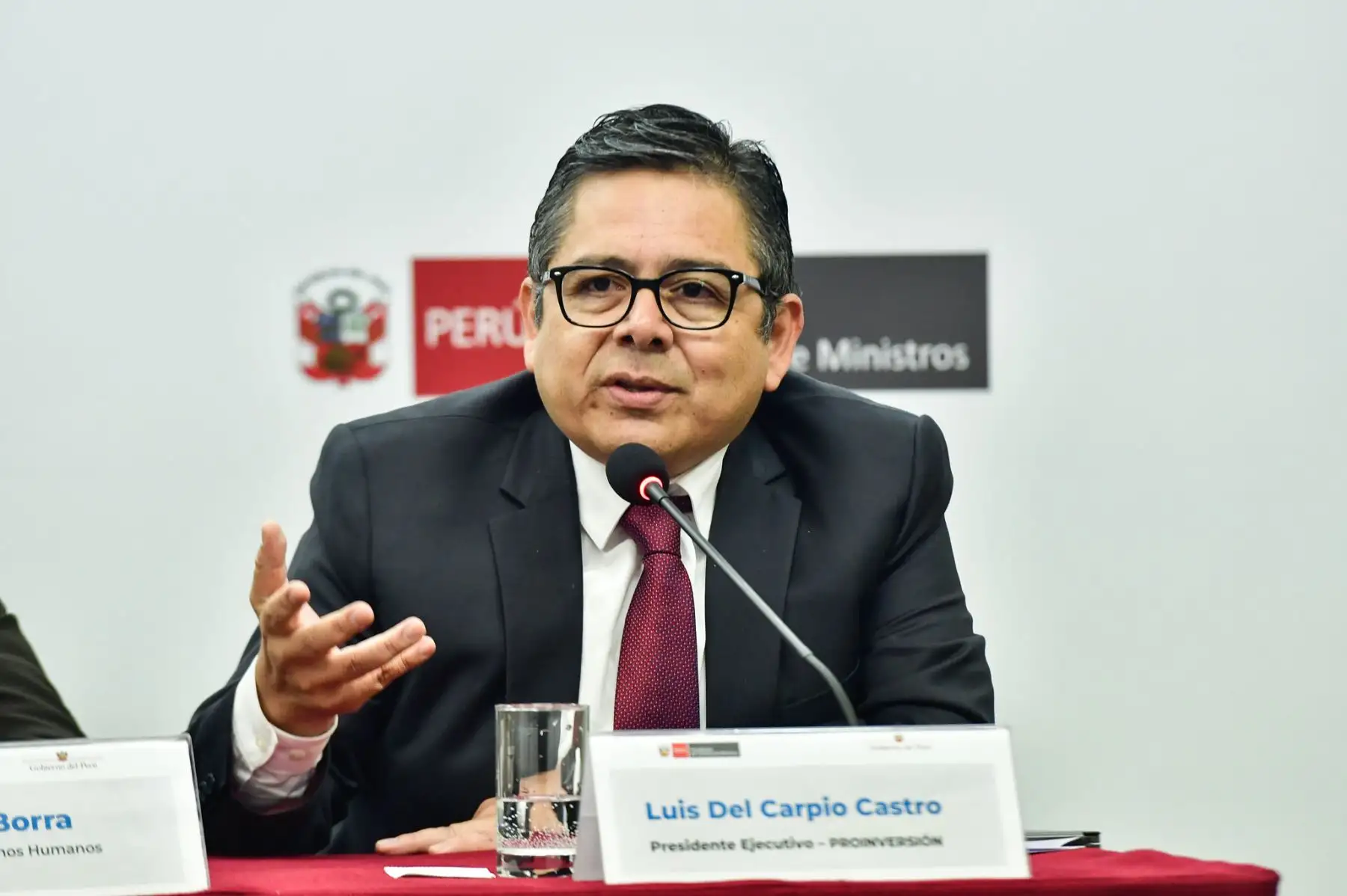 Presidente ejecutivo de ProInversión, Luis Del Carpio. ANDINA/Difusión