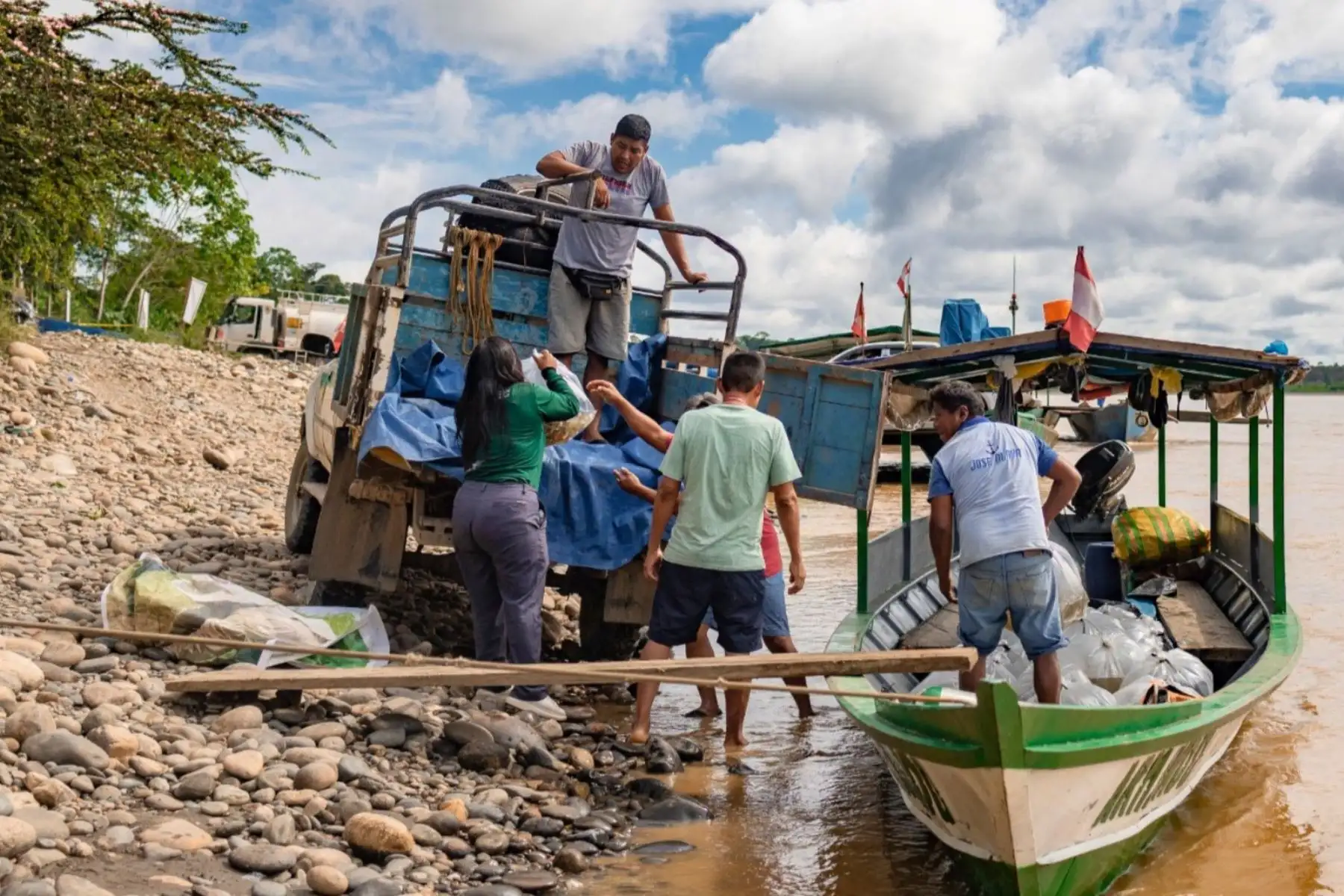 Alevines de paco: acuicultura sostenible para frenar la minería ilegal en Madre de Dios
