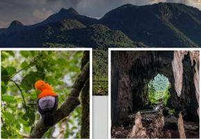 El Parque Nacional Tingo María celebra, el 14 de mayo, su 61° aniversario como área natural protegida por el Estado, consolidándose como un referente del turismo sostenible en Perú.