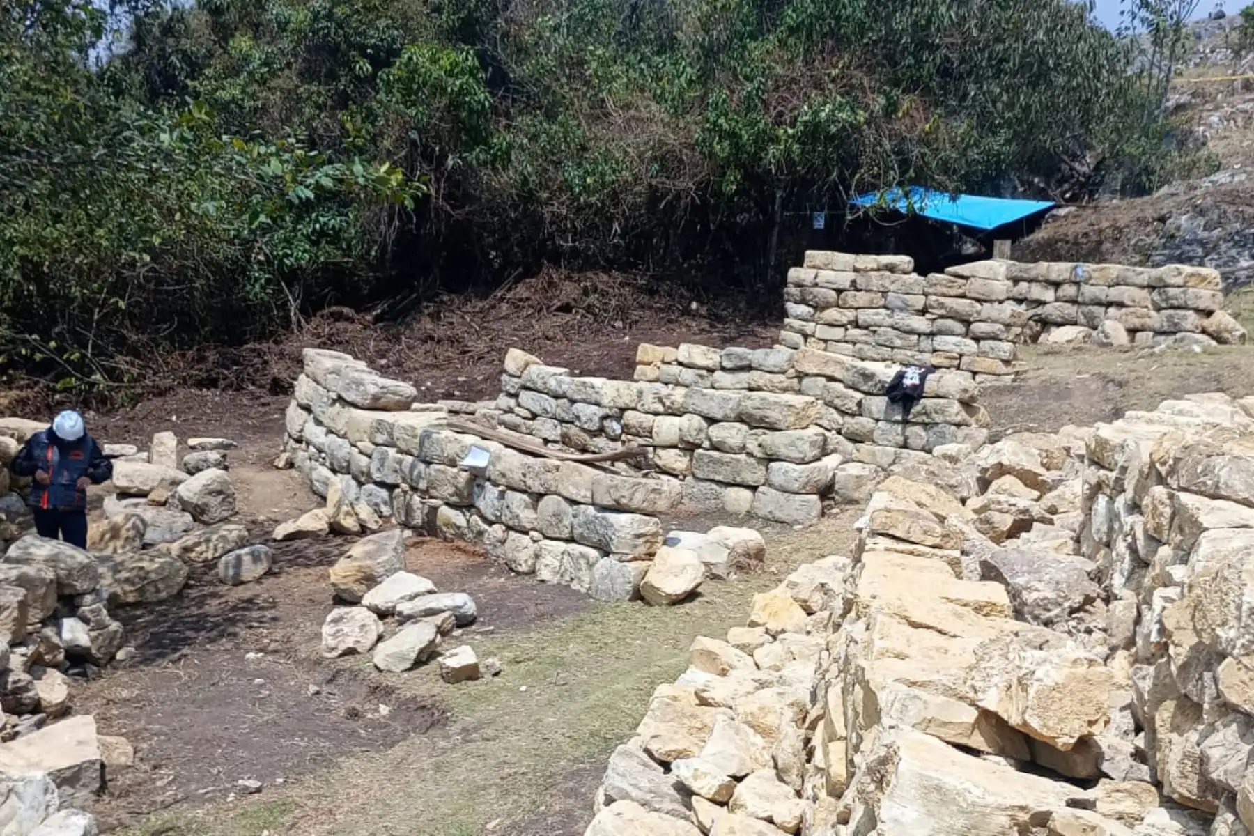 La monumental fortaleza de Kuélap, principal ícono turístico y arqueológico de Amazonas, recuperó completamente el sector de la muralla sur. Foto: Difusión