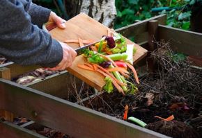 El compostaje casero es una alternativa sencilla y sostenible que permite transformar residuos orgánicos, como cáscaras de frutas, restos de verduras, hojas secas y residuos de jardín, en abono natural rico en nutrientes para plantas y áreas verdes.