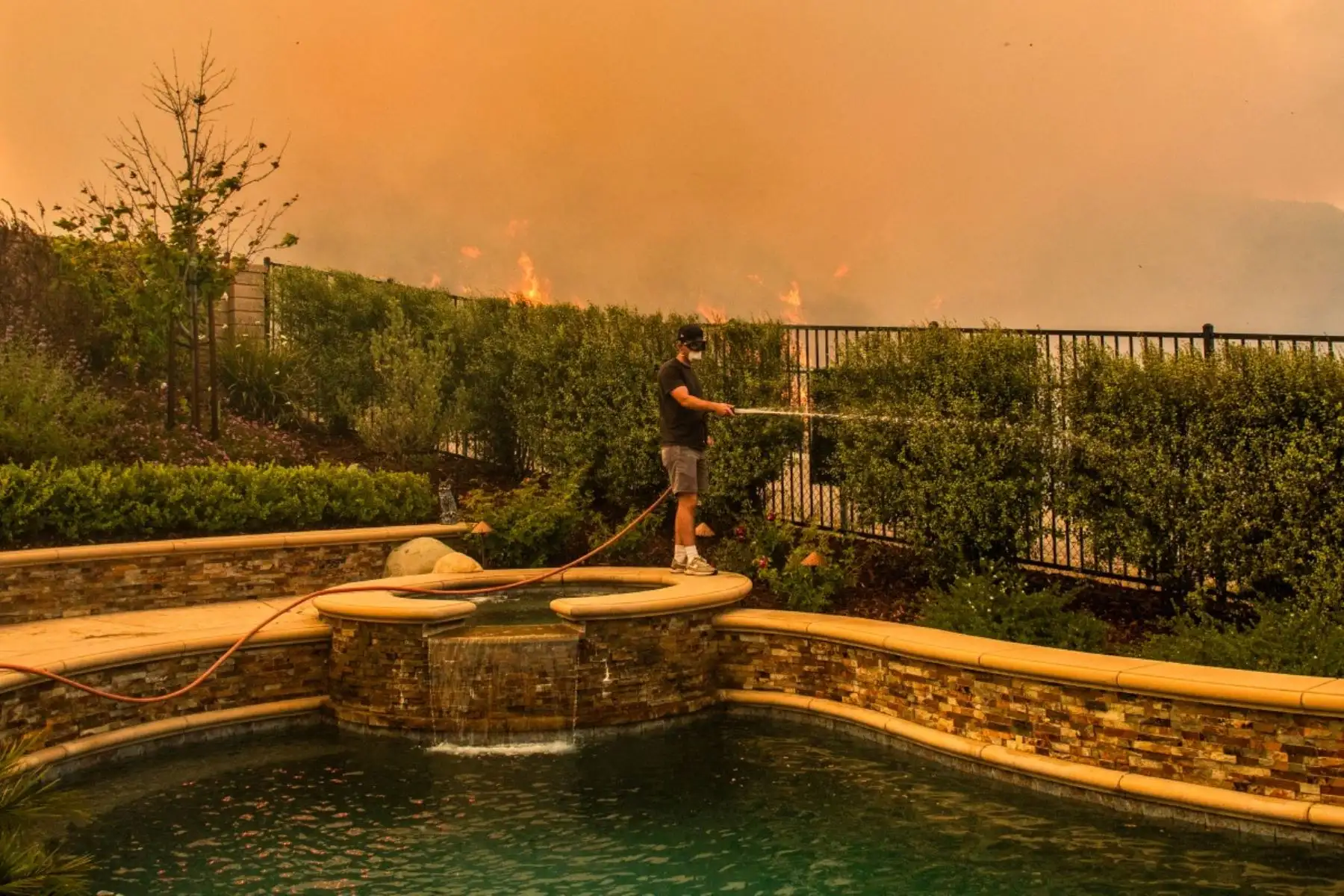 Un residente riega las plantas de su jardín delantero con una manguera mientras el incendio Sandy arde en las colinas cercanas a una zona residencial en Simi Valley, California. Foto: AFP