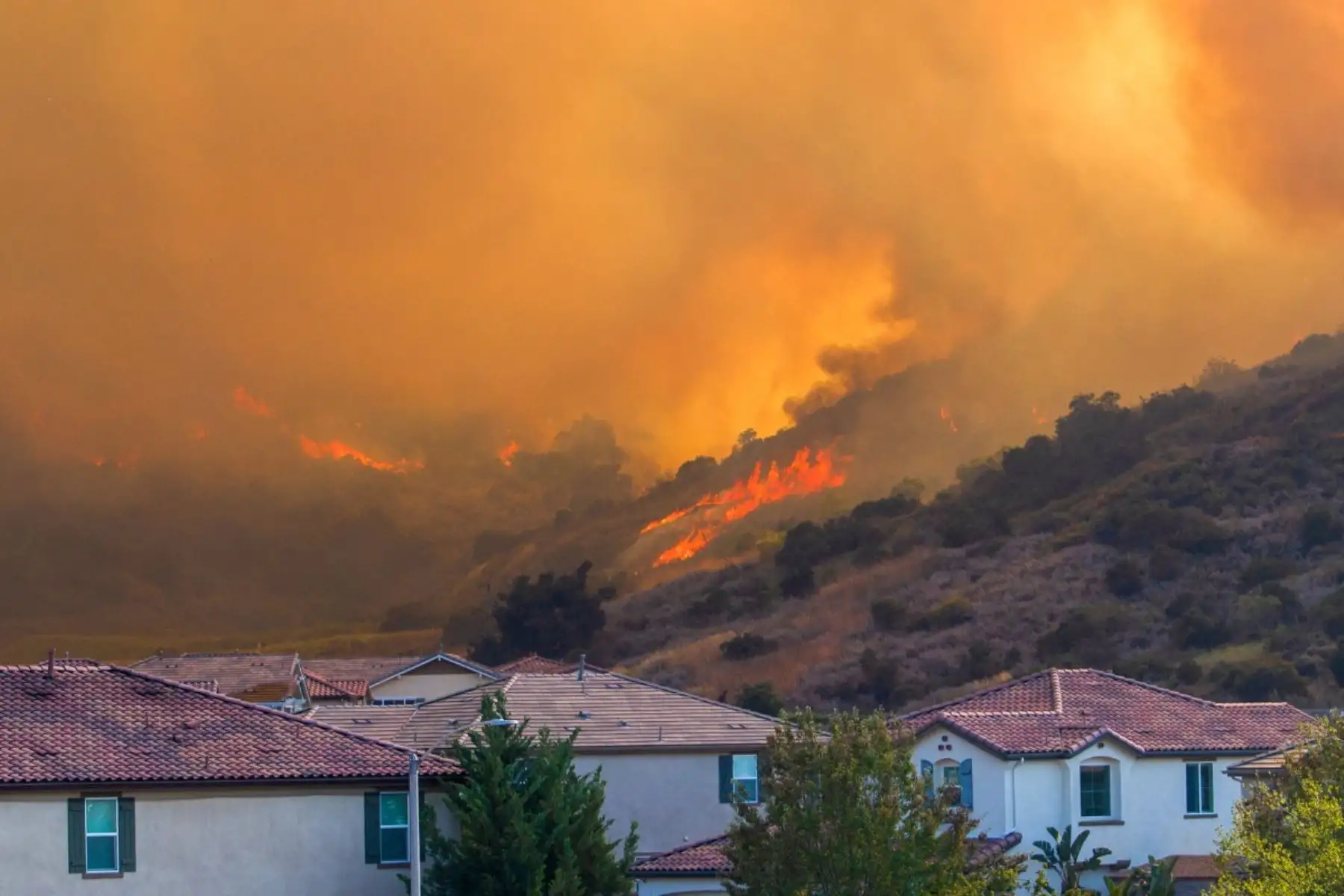 El incendio Sandy arrasa colinas detrás de las casas en una zona residencial de Simi Valley, California. Foto: AFP