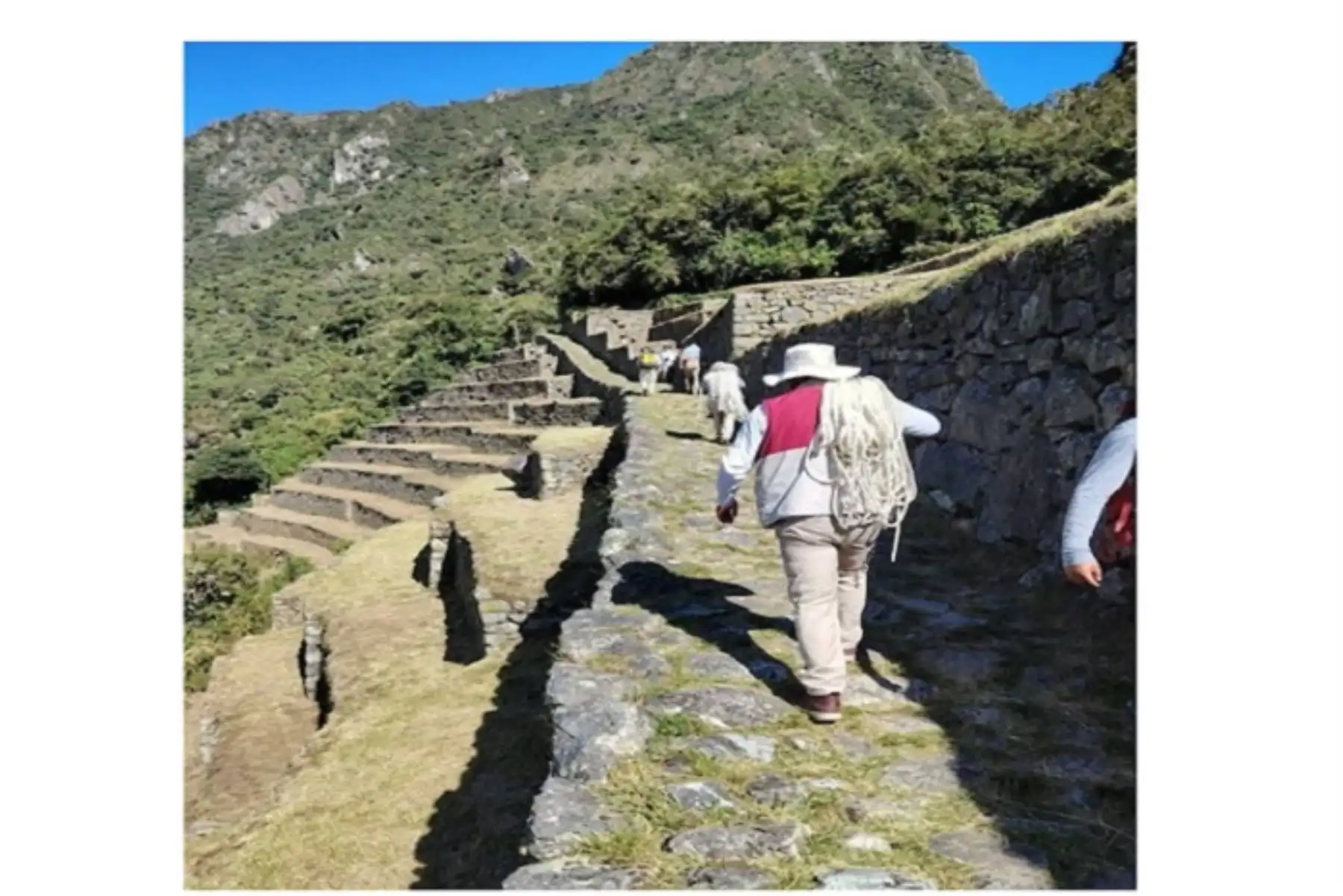 Policías de Alta Montaña buscarán a australiano que cayó del Camino Inca de Machu Picchu