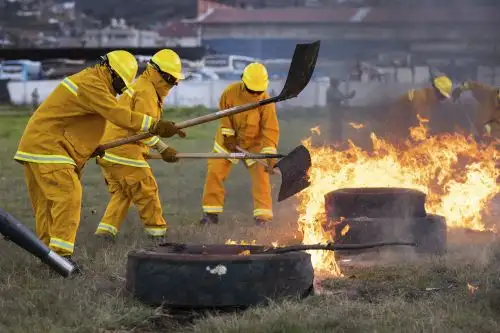 Realizan simulacro de incendio forestal en Cusco con participación del ministro de Defensa