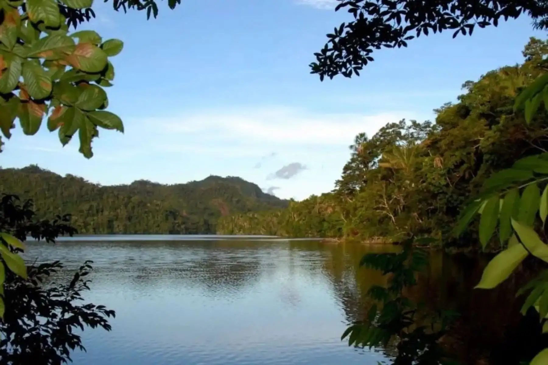 Parque Nacional Cordillera Azul mantiene intacto el 99.96% de su territorio amazónico