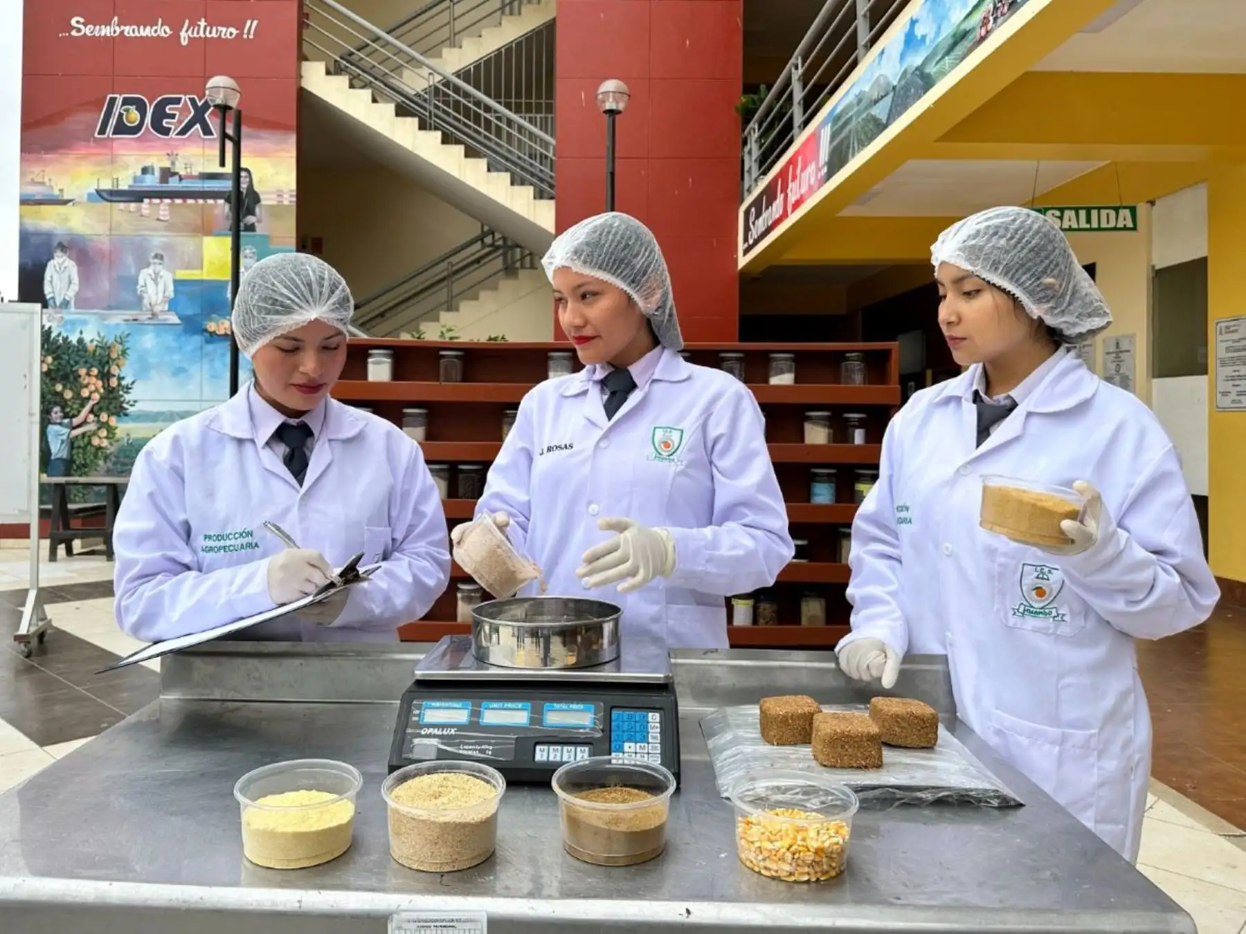 Minedu: Proyectos de institutos de Amazonas y Lima finalistas en Premios LatamDigital 2026