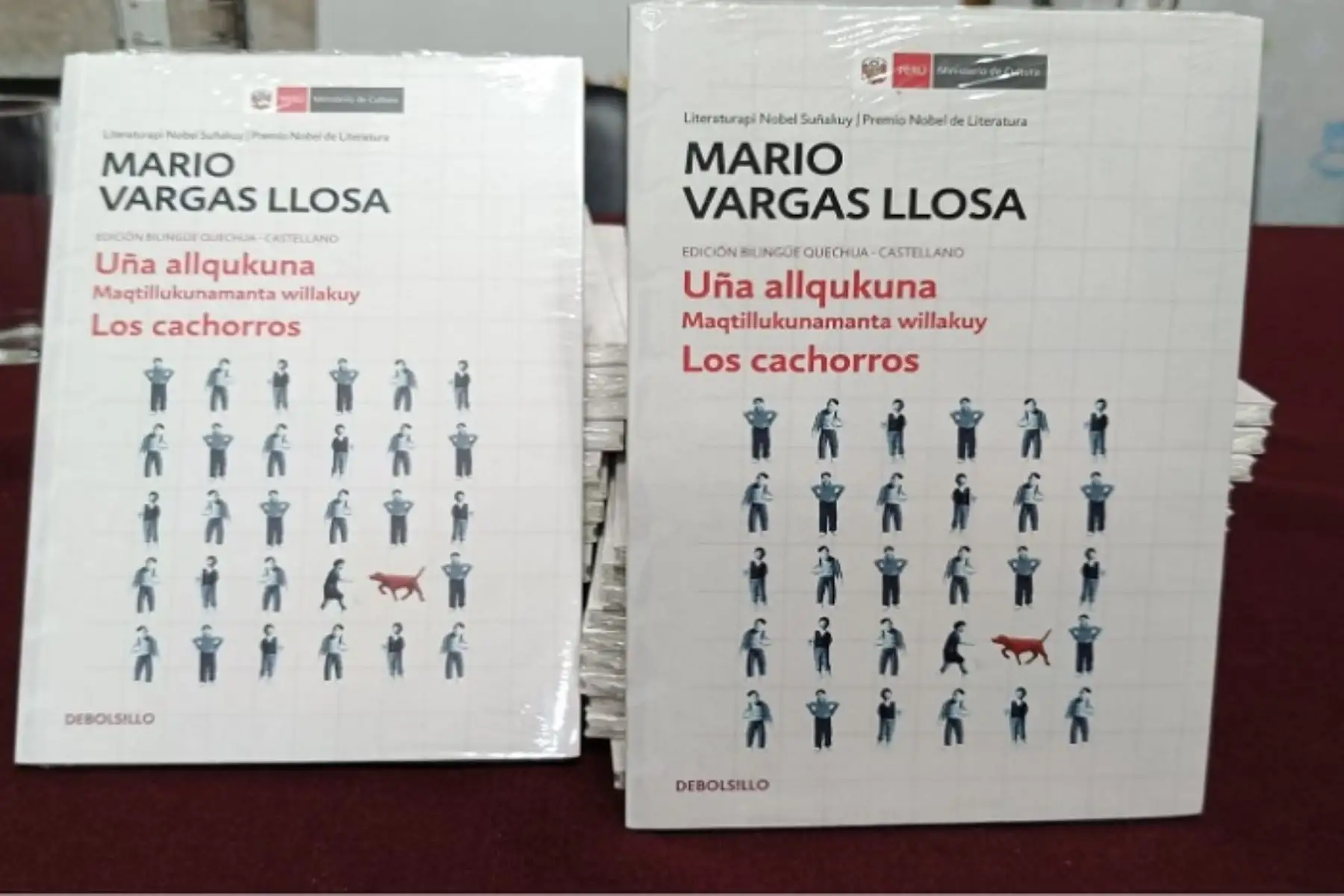 Arequipa: donan novela Los Cachorros traducida al quechua a Biblioteca Mario Vargas Llosa