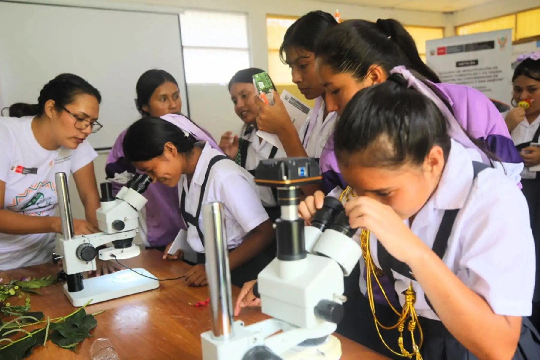 Ciencia y ambiente: nueva generación de mujeres comprometidas con el desarrollo sostenible