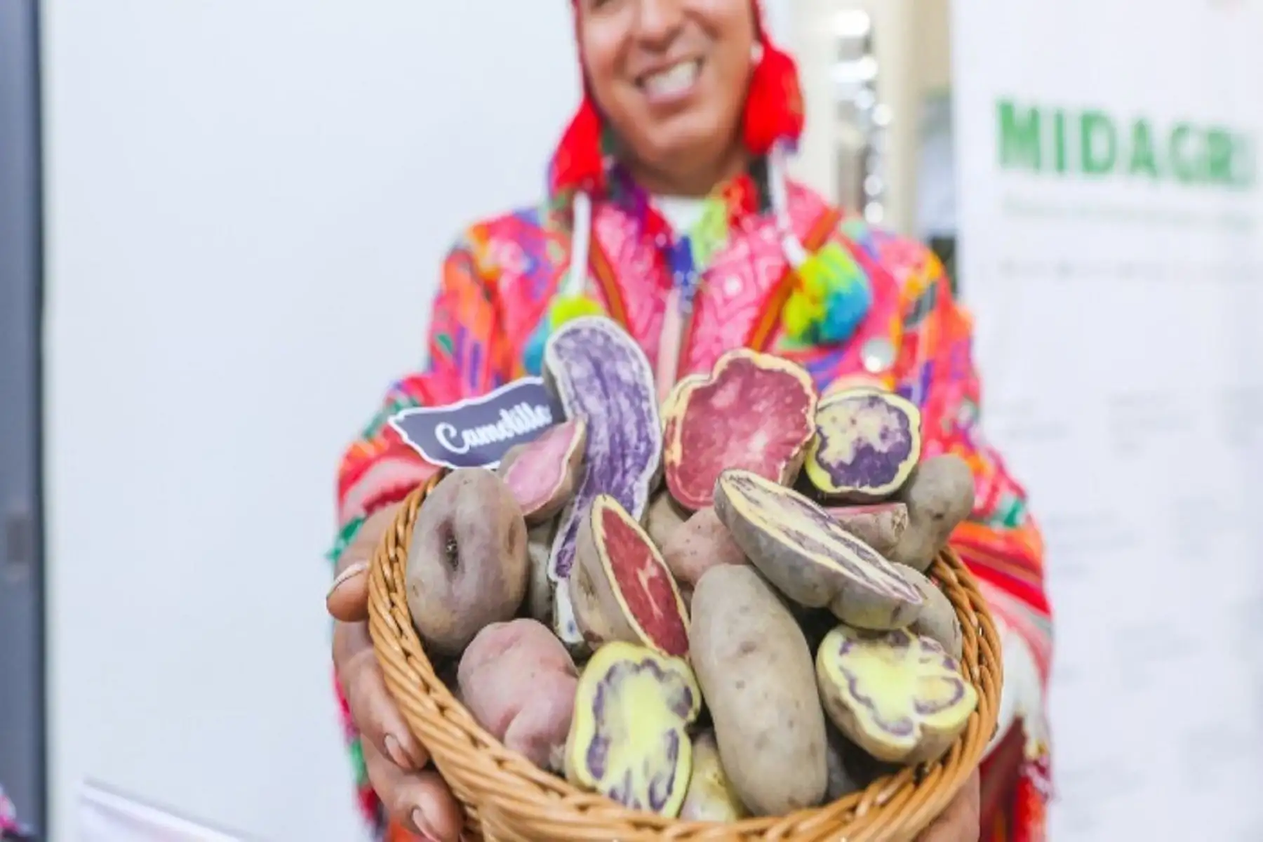 Exportaciones de papa peruana crecieron 19% y llegaron a 13 mercados internacionales