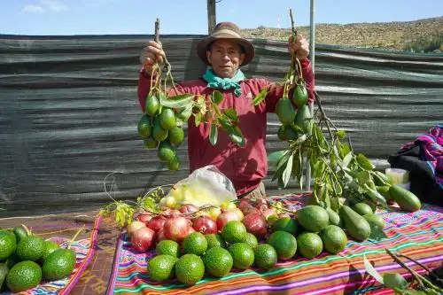 Huanca Sancos exhibe su potencial agropecuario, artesanal y turístico en feria provincial