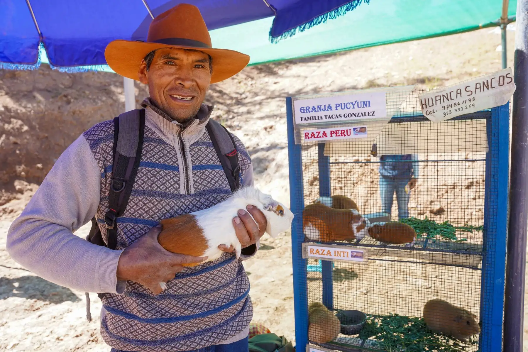 Más de 50 expositores participan en la feria provincial mostrando productos agropecuarios y experiencias que promueven el desarrollo económico de Huanca Sancos. Foto: ANDINA/Genry Bautista
