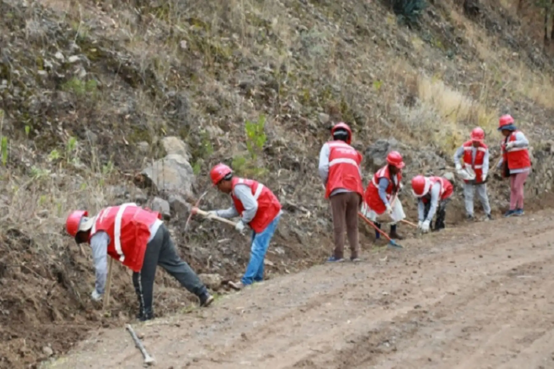 Más de S/53 millones invierte Foncodes en mantenimiento de vías rurales en el país