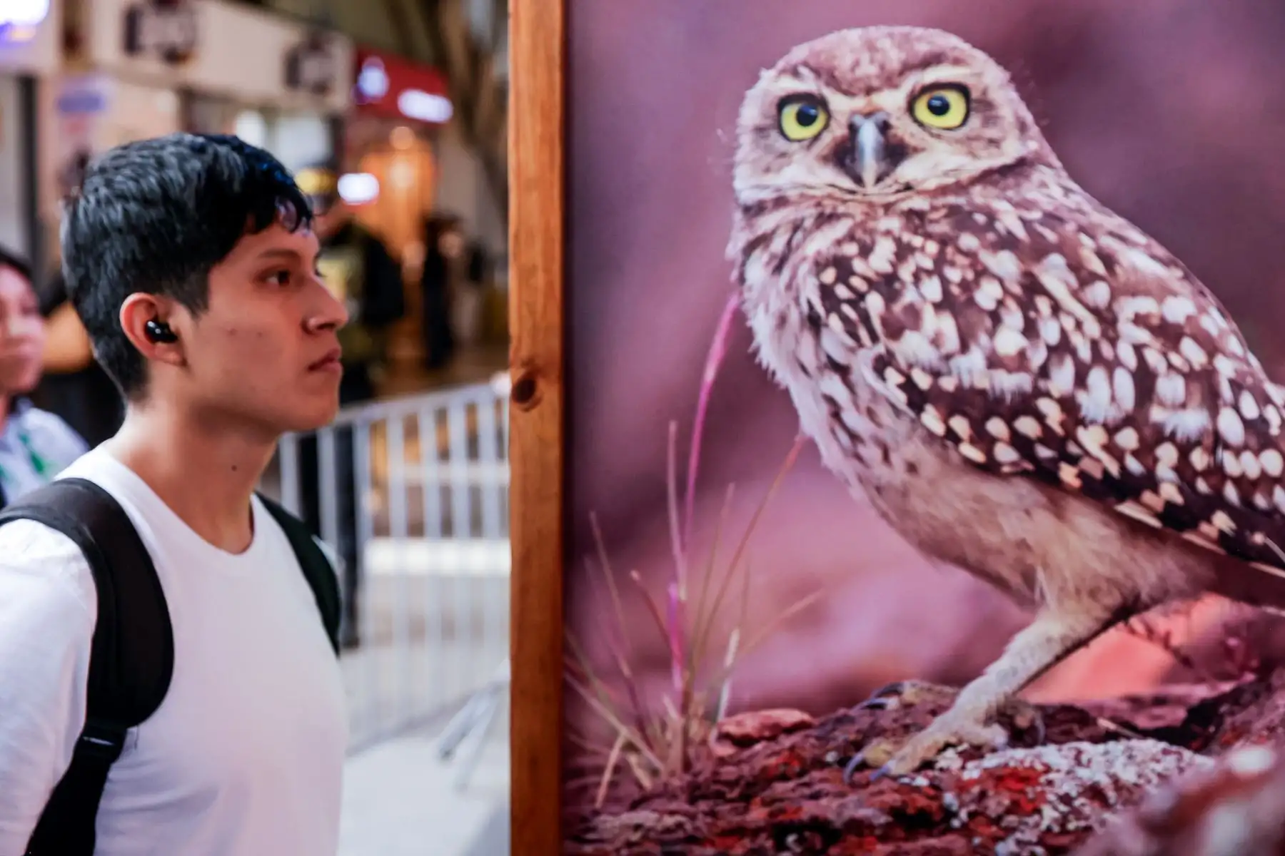 En el marco del Día Mundial del Ambiente, el Ministerio del Ambiente, la Fundación Cultural del Banco de la Nación y la Línea 1 del Metro de Lima inauguraron las exposiciones fotográficas “Áreas Naturales Protegidas: Refugios de Vida” y “Gigantes de Hielo”, que estarán abiertas durante junio en las estaciones La Cultura y Bayóvar. La muestra busca acercar a los ciudadanos la riqueza natural y la biodiversidad del Perú. Foto: Luis Iparraguirre.
