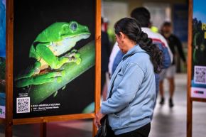 El Minam, la Fundación Cultural Banco de la Nación y la Línea 1 presentan exposiciones fotográficas sobre áreas naturales protegidas y glaciares. Foto: MINAM/Difusión.