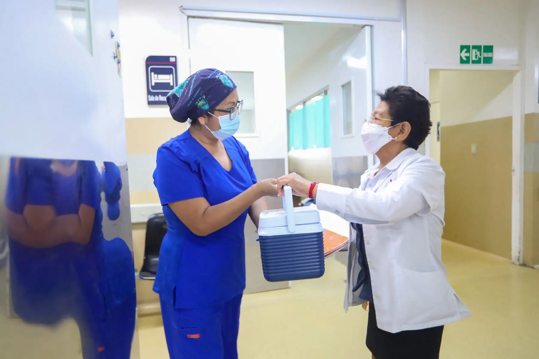 Sólo en lo que va del 2026, se han realizado 128 trasplantes de córnea a nivel nacional gracias
Foto: ANDINA/Ricardo Cuba