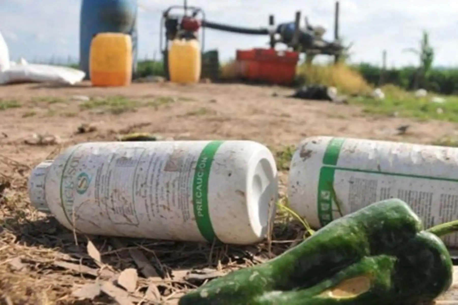 Cultivida: agroquímicos ilegales representan hasta el 25% del mercado en algunas regiones