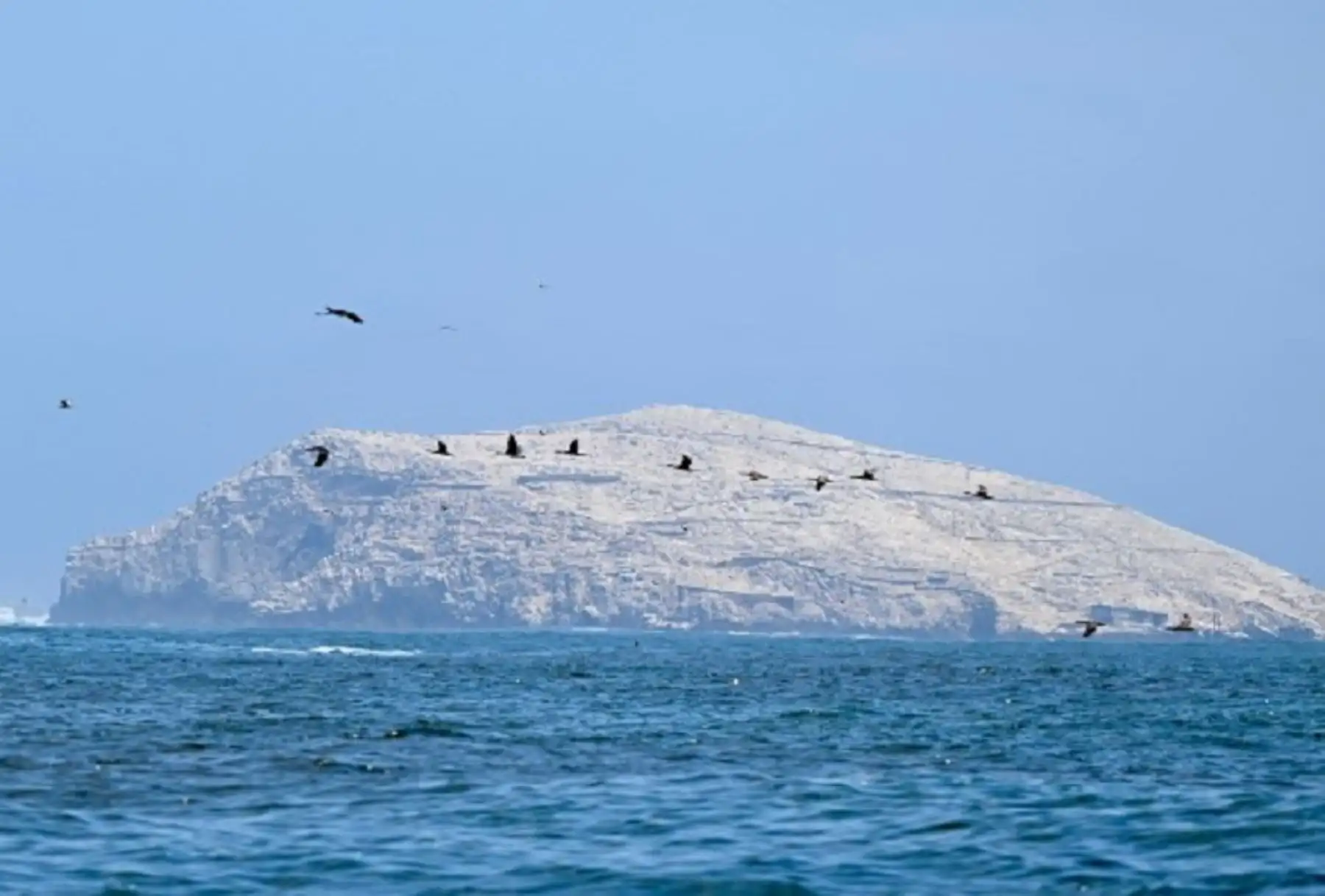 Día Mundial de los Océanos: Minam destaca acciones para prot